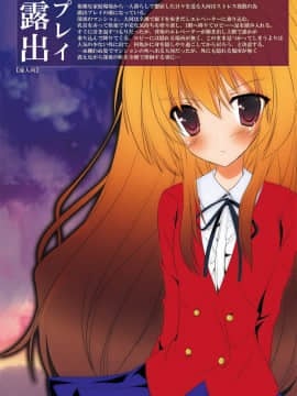 [匿名无名汉化] [ミントチョコレート (氷室光一, Raw)] 露出少女虎 (とらドラ!)_43