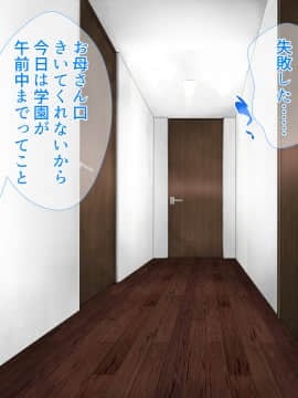 [さーくるスパイス] 母子相姦が日常化した親子...三年後、母を孕ませた息子_0032_031