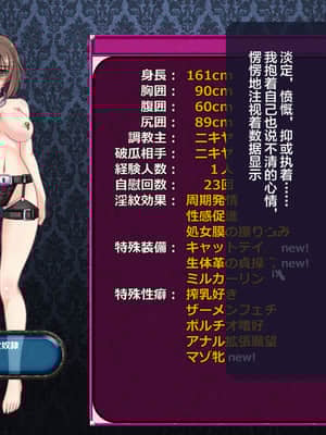 [这很恶堕汉化组][悪魔都市計画 (あくまっこ、トシぞー)] 寝取られ異世界転移『変わっていく彼女をブラウザで見ていることしかできない』_166_165_