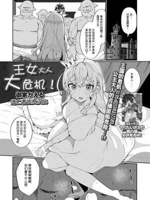 [御家かえる] 王女さま大ピンチ! (異世界娘との交接) [逃亡者×真不可视汉化组] [Digital]