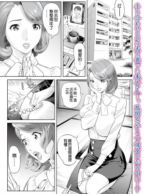 [原茂之] 未亡人と宅配便変身願望(Web コミックトウテツ Vol.66) [空気系☆漢化]