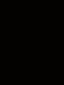 绿岳父_00002