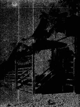 [JUNKセンター亀横ビル] 今夜、母と妊活します。 肆__Oij_010