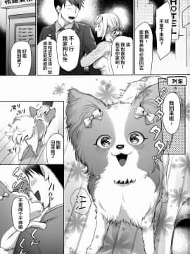 [悬赏大厅x新桥月白日语社汉化] (関西!けもケット8) [miyubi (きいち)] ワタシガカノジョ_002