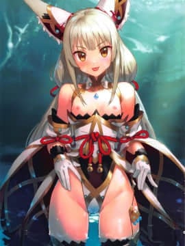 (C97) [アジサイデンデン (川上六角、小鳥遊レイ)] ニアのおしりで癒され本 (ゼノブレイド2) [zZzZ個人漢化]_002