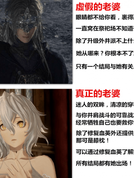 (C97) [谷間銀行 (Belko)] 栄光の架け橋 (コードヴェイン) [中国翻訳]_31_31
