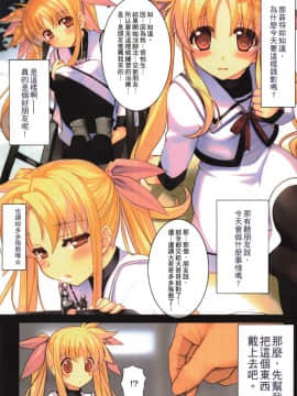 [スタジオ☆ひまわり (日向恭介)] 疲れた貴方を癒やしてくれるリリカル魔法少女総集編+α (魔法少女リリカルなのは) [中国翻訳]_010