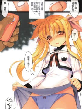 [スタジオ☆ひまわり (日向恭介)] 疲れた貴方を癒やしてくれるリリカル魔法少女総集編+α (魔法少女リリカルなのは) [中国翻訳]_011