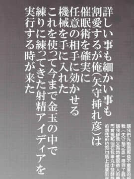 [MingZ同学个人汉化] (C91) [翁計画 (師走の翁)] 義妹ひまり [中国翻訳]_IMG_20170106_0003