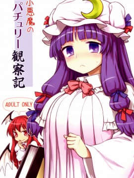 (C88) [110-GROOVE (イトウゆーじ)] 小悪魔のパチュリー観察記 (東方Project)  [彷徨水面个人汉化]