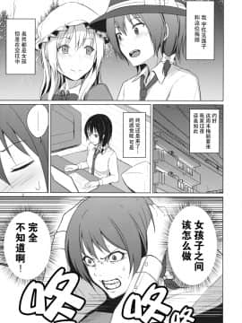 [脸肿汉化组] (秋季例大祭6) [ムゲンダイ (フメイ)] 相方とレズビアン風俗を鑑賞することになりました。 (東方Project)_02