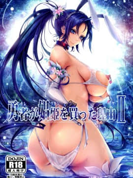 [不咕鸟汉化组] (C95) [我流痴帯 (TANA)] 勇者が娼姫を買った理由II (ドラゴンクエストXI)_01