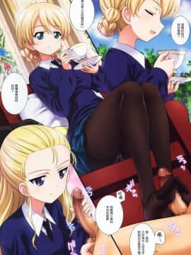 [瓜皮汉化] (ぷにけっと33) [鴨川屋 (鴨川たぬき)] ご注文は紅茶ですか？ (ガールズ&パンツァー)_img003
