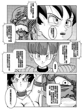 [ライト・レイト・ポート・ピンク] 誕生!! 悪の女戦士 - ビーデル洗脳改造計画 (ドラゴンボールZ) [中国翻訳]_09