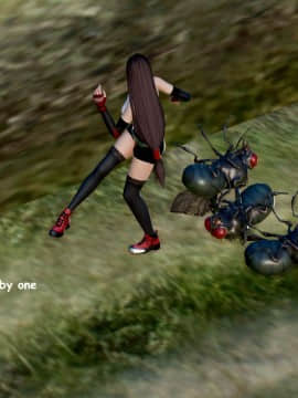 [HoneyHappy] Tifa vs Fly_TVF019