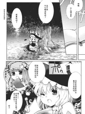 [主角组吧汉化组] (例大祭9) [おいもと (鈴音ゆうじ)] スウィートダイアリー (東方Project)_07