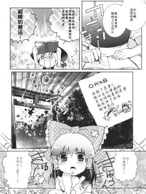 [主角组吧汉化组] (例大祭9) [おいもと (鈴音ゆうじ)] スウィートダイアリー (東方Project)_08