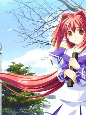 マブラヴ サプリメント(MUV-LUV SUP)_0CBD13F6