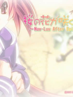マブラヴ サプリメント(MUV-LUV SUP)_00384B08