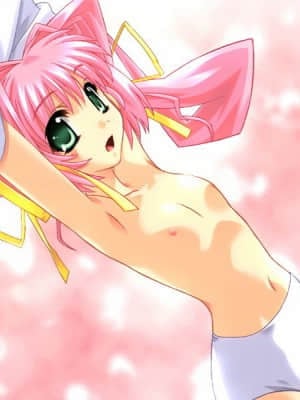 マブラヴ サプリメント(MUV-LUV SUP)_06818473