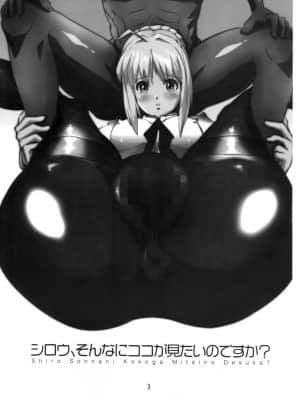 [臭鼬娘漢化組] (C73) [闇に蠢く (どくろさん)] シロウ、そんなにココが見たいのですか (Fate stay night)_SGTG_239_003