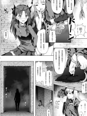 [縄色ソナタ (Himitsu)] 天空と冥界の檻 (FateGrand Order)【無修正】_07