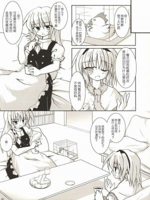 [东方小吃店] (C68) [Pixel Cot. (羽原メグル)] Rainbow-DIA (東方Project)_06