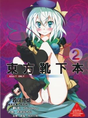 [跤汉化组] (例大祭6) [嘘つき屋 (大嘘)] 東方靴下本2 (東方Project)